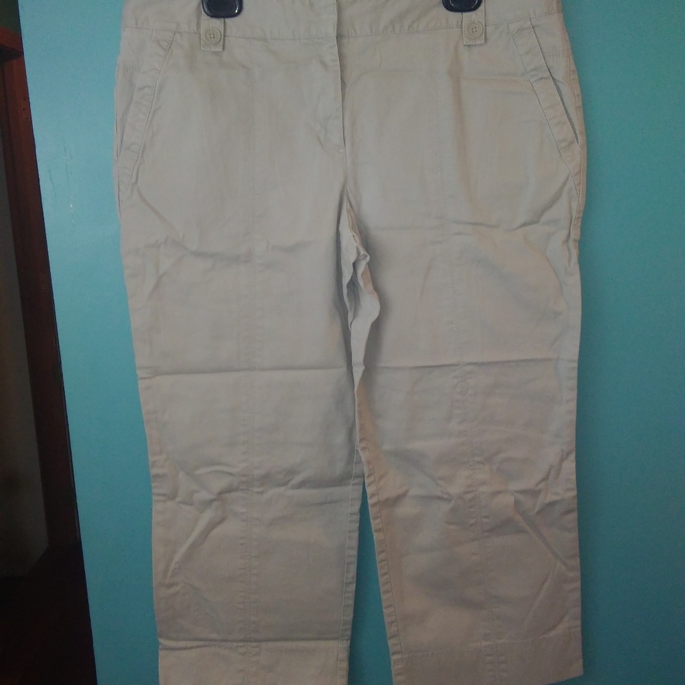 🌷CLOSET SALE🌷Ann Taylor Loft Capri pants